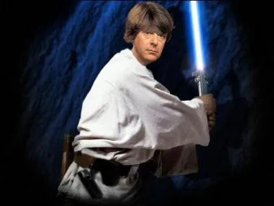 Dans un entretien  SVM, Franois Fillon a dclar qu'il tait un geek, prcisant: