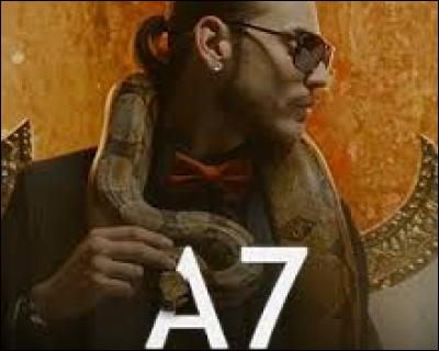 Combien y a-t-il de titres dans son album "A7" ?