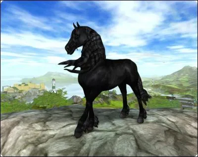 Peut-on acheter des habits sur Star Stable ?