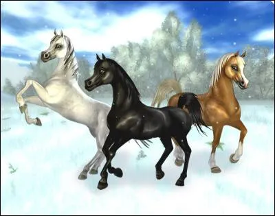 Quelle personne voyons-nous en premier en nous connectant pour la première fois ?