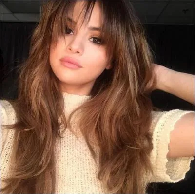 Quels sont les genres musicaux de Selena Gomez ?