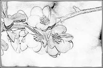 Familièrement, maoïste :