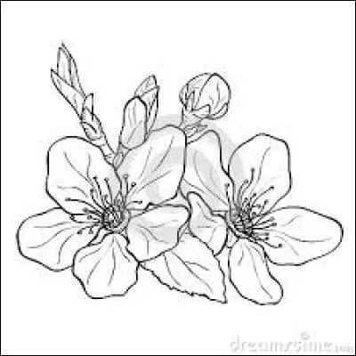 Unité de mesure d'éclairement lumineux :