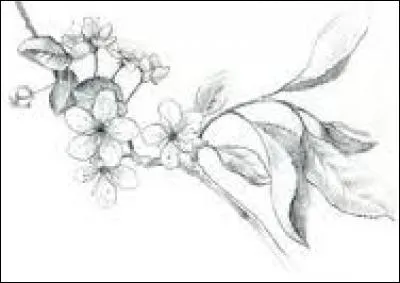 Côté du navire qui se trouve frappé par le vent :