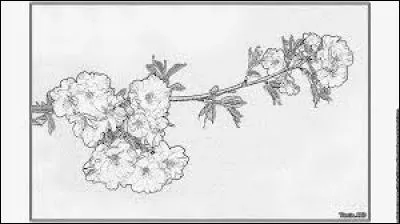 Participe passé du verbe "lire" :