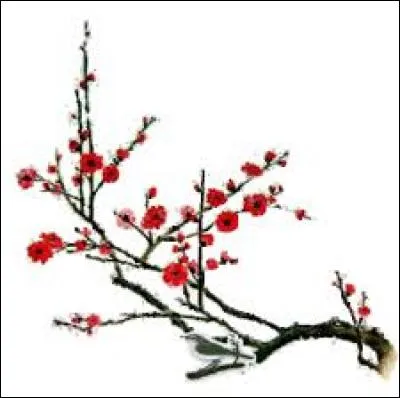 Singulier de "eux" :