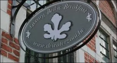 "W" comme "waterzooï". Parmi ces photos, où se trouve cette recette culinaire en provenance de Belgique ?