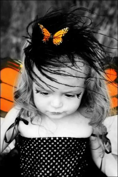 Qui interprétait "L'effet papillon" ?