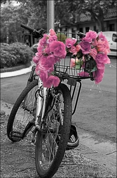 Qui chantait "Quand on partait de bon matin, quand on partait sur les chemins à...."