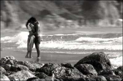 Qui chantait "Tout nus et tout bronzés" ?