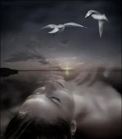 Qui chantait "Tu bronzais nue à ciel ouvert, des oiseaux survolaient tes seins, toi sur le bateau de ton père, tu bronzais nue à corps ouvert..."dans sa chanson "requin chagrin" ?