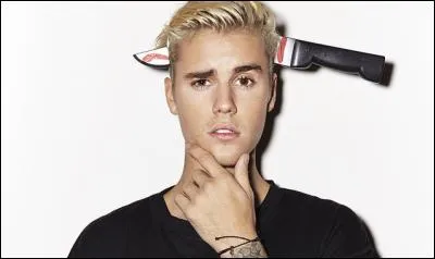 Quelle est la couleur préférée de Justin ?