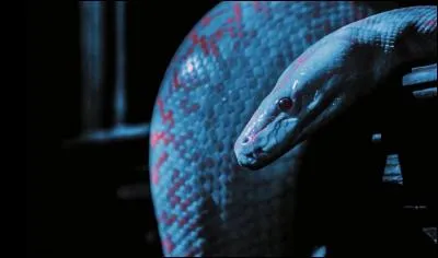 À quel MV correspond cette image ?