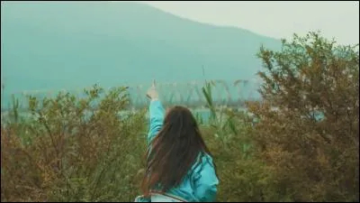 À quel MV correspond cette image ?