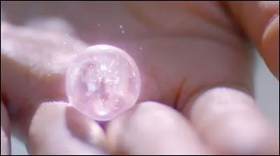 À quel MV correspond cette image ?