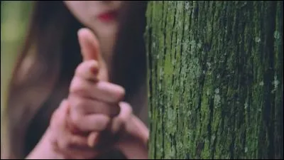 À quel MV correspond cette image ?