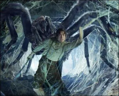 Dans le seigneur des anneaux, comment s'appelle l'araignée géante qui pique (et ne mord pas bizarrement) Frodon ?