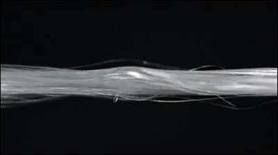 Le fil de soie d'araignée peut servir en médecine.