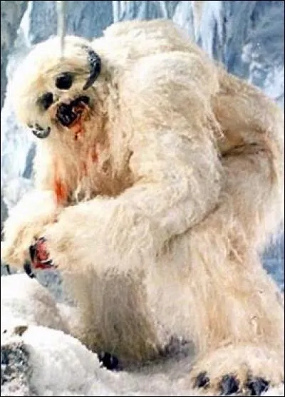 Quel animal, servant de monture pour Luke, le wampa tue-t-il dans l'épisode IV ?