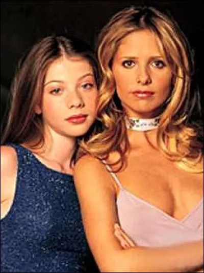 Dans quelle série peut-on voir ces surs faire n'importe quoi pour sauver la vie de l'autre ?