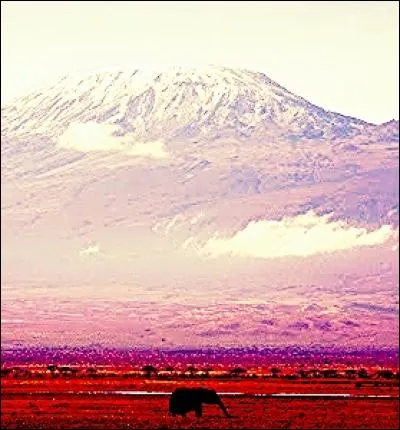 Quel volcan africain se trouve à la frontière entre le Kenya et la Tanzanie?