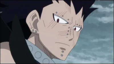 Dans Fairy Tail, je suis...