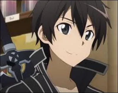 Je suis double épéiste dans Sword Art Online :