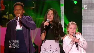 Quelle chanson de Céline Dion ont-ils reprise ?