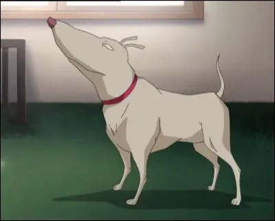 Ce personnage est dans le dessin animé "Code Lyoko".