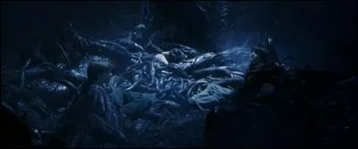 Comment s'appellent les plantes qui enlacent Harry, Ron et Hermione ?