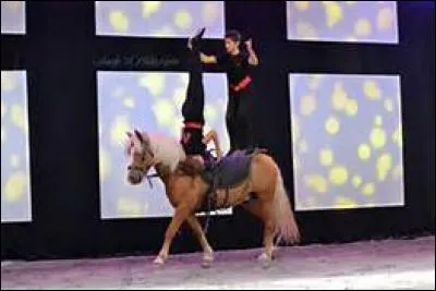 On a deux sortes de voltige, lesquelles ?