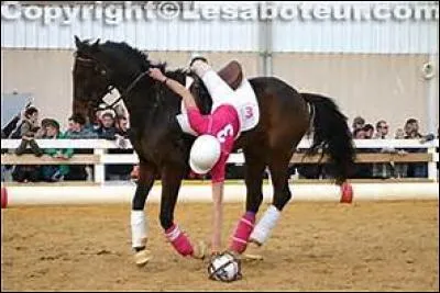 Le horse-ball consiste à :