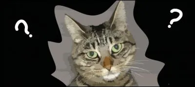 Quelle affirmation est fausse ?