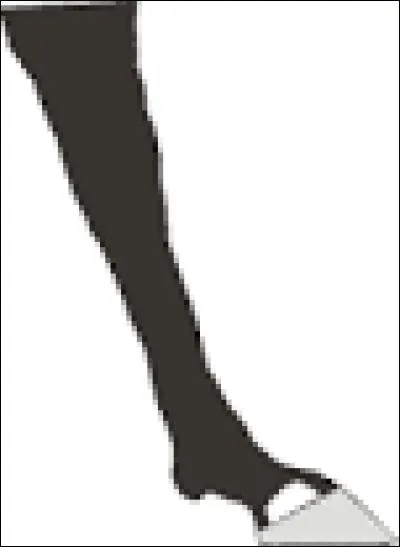 Qu'est-ce que c'est ?