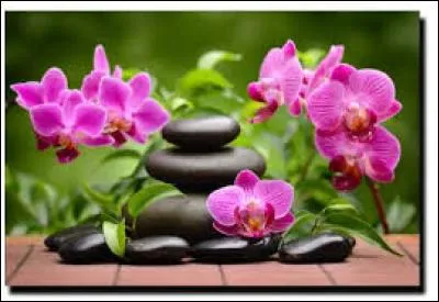 Clair et pr&eacute;cis :