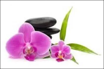 De briques, de moellons, de pierres :