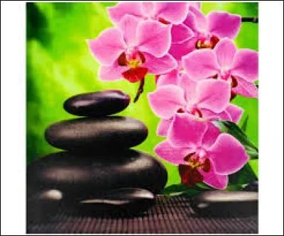 Noyau de la plan&egrave;te Terre :