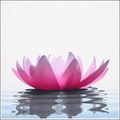 Abri de certains animaux :