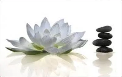 Margousier, arbre originaire d'Inde :