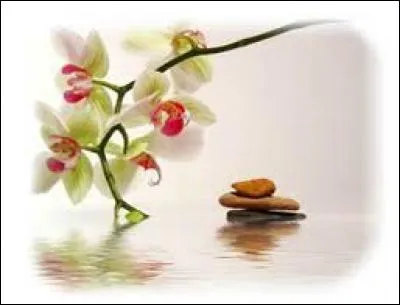 Communaut&eacute; rurale de la Russie tsariste, avant 1917 :