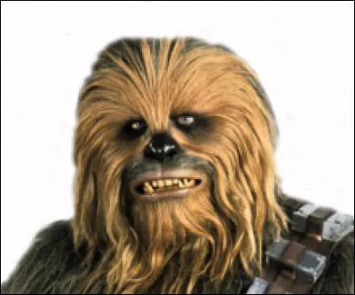 Quel âge a Chewbacca dans Star Wars 7 ?