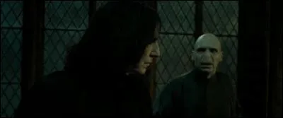 Qui tue Dumbledore ?