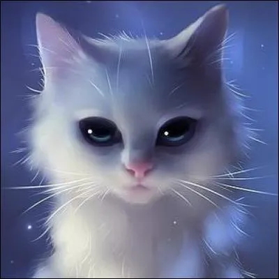 Étoile Bleue a-t-elle eu une belle vie ?