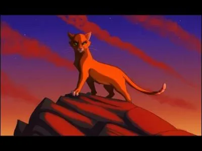 Qui sera le chef juste après elle ?