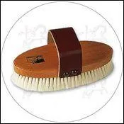Quel est le nom de cette brosse?