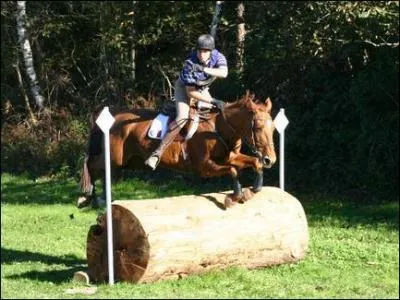 Que pratique ce cavalier?