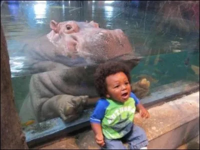 D'apr&egrave;s la photo, trouvez le plus proche cousin de cet animal !