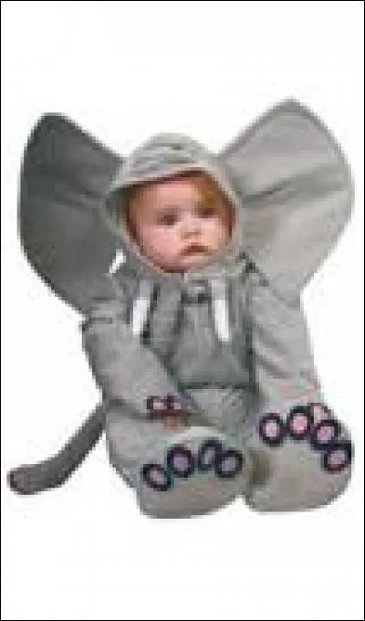 Quel est cet animal ?