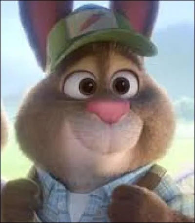 Comment se nomme le père de judy qui est un fermier planteur de carottes qui vit à Bunnyburrow ?