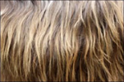 Mais qu'est-ce que c'est que ce truc ?